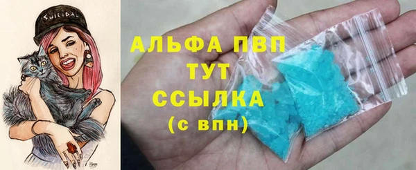 сатива Верхний Тагил