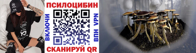 Псилоцибиновые грибы Cubensis  Энгельс 